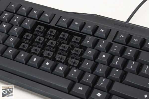 Cherry MX-Board 2.0 G80-3800 機械式鍵盤 評測，Cherry入門款機械式鍵盤 - 老貓測3C