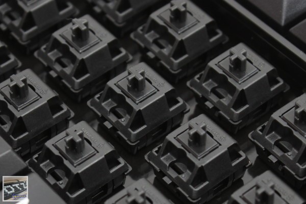Cherry MX-Board 2.0 G80-3800 機械式鍵盤 評測，Cherry入門款機械式鍵盤 - 老貓測3C