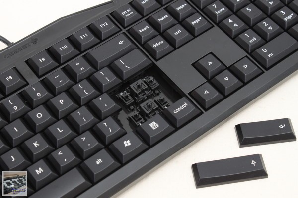Cherry MX-Board 2.0 G80-3800 機械式鍵盤 評測，Cherry入門款機械式鍵盤 - 老貓測3C