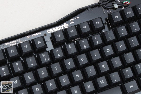 Cherry MX-Board 2.0 G80-3800 機械式鍵盤 評測，Cherry入門款機械式鍵盤 - 老貓測3C