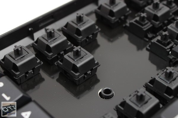 Cherry MX-Board 2.0 G80-3800 機械式鍵盤 評測，Cherry入門款機械式鍵盤 - 老貓測3C