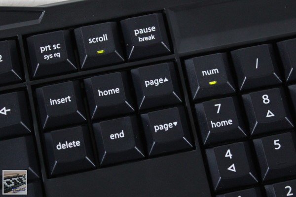 Cherry MX-Board 2.0 G80-3800 機械式鍵盤 評測，Cherry入門款機械式鍵盤 - 老貓測3C