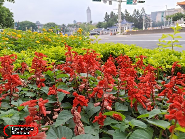OPPO R15 評測，自動AI智慧拍照讓美更自然 - 老貓測3C